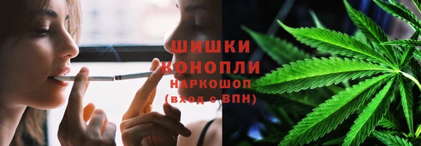 стафф Дмитровск