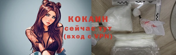 стафф Дмитровск