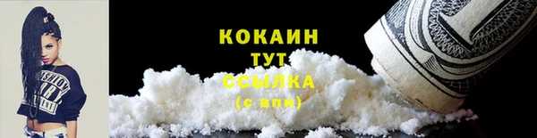 2c-b Дмитриев