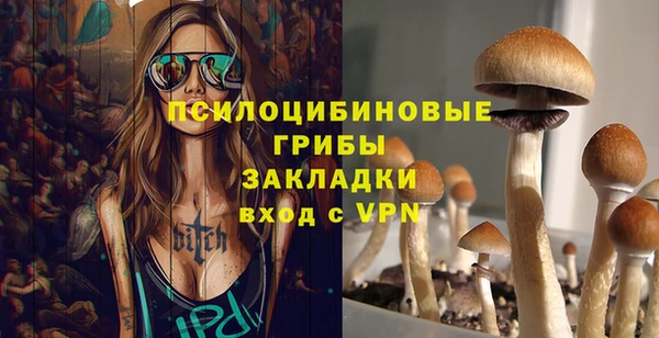прущая мука Дмитров