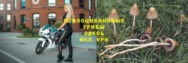прущая мука Дмитров