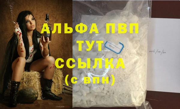 стафф Дмитровск